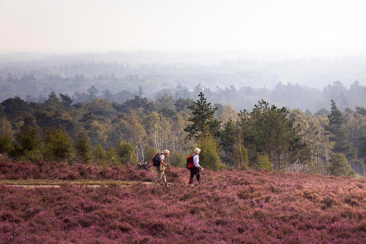 Huttopia De Roos Stegeren Bagian luar foto